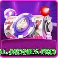 baypg - Real Money Pro
